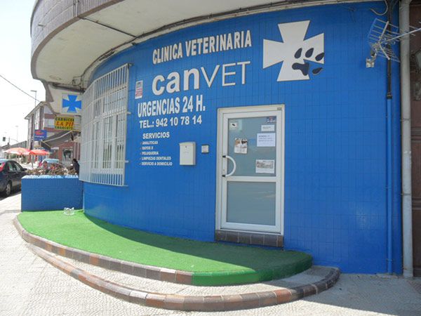 clinica veterinaria requejada